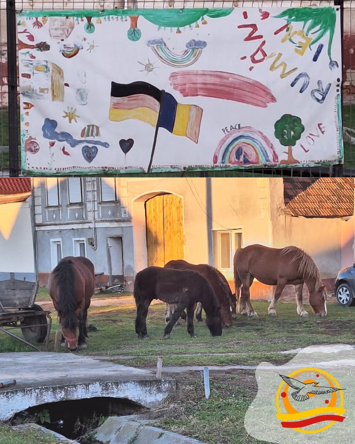 Jonathan soars high above, with courage, strength, and self-confidence.